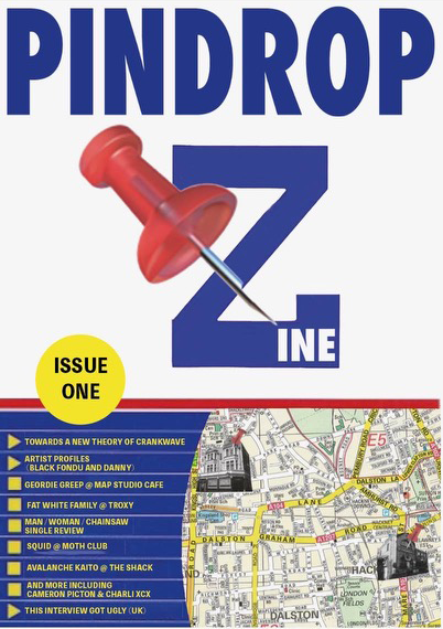 Pindrop Zine Cover